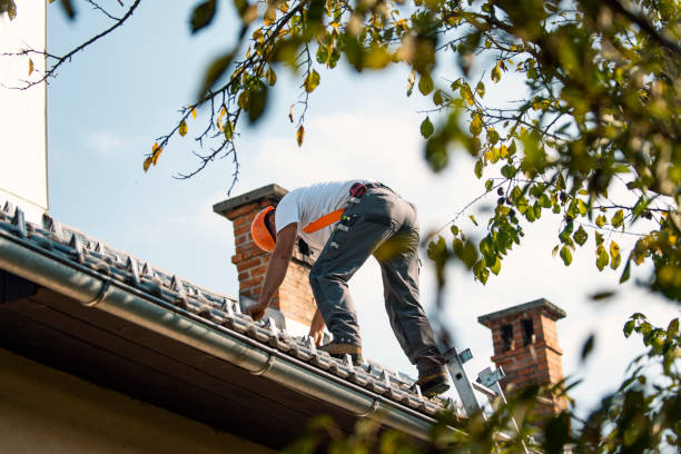 Best Roof Ventilation Installation  in Bensenvle, IL