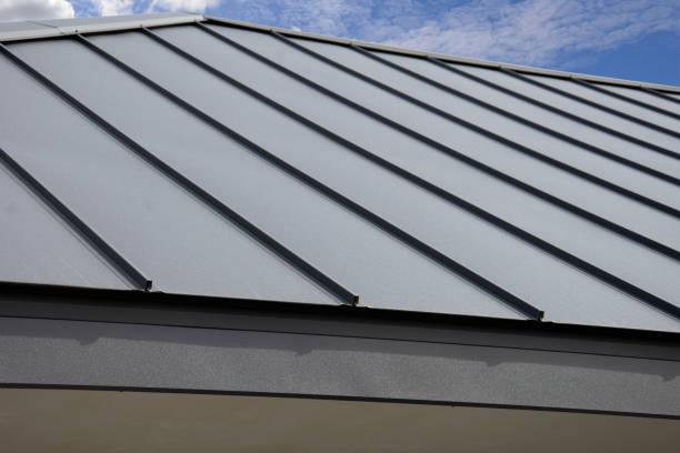 Best Skylight Installation and Repair  in Bensenvle, IL